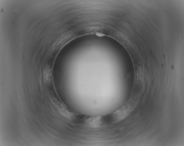 X0000062610138200512211147