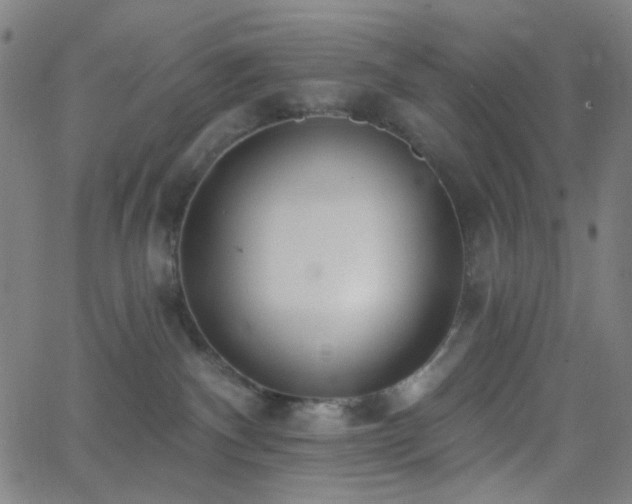 X0000062610140200512211146