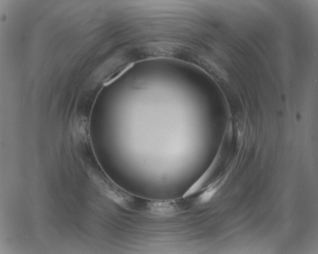 X0000062610141200512211146