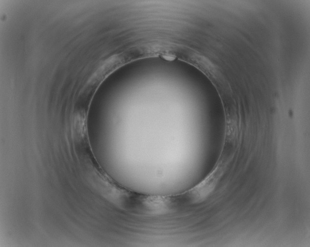 X0000062610142200512211146