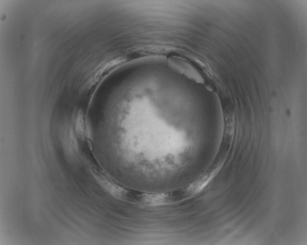 X0000062610143200512211146