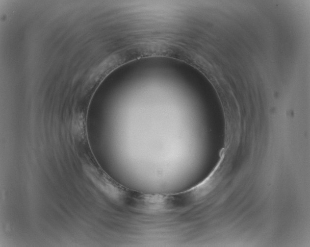 X0000062610144200512211146