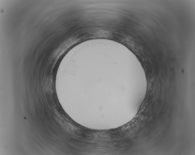 X0000062610146200512211146