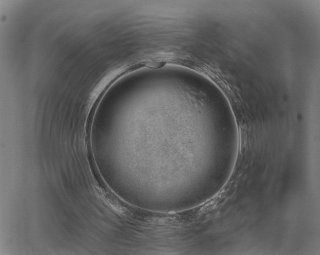 X0000062610147200512211146