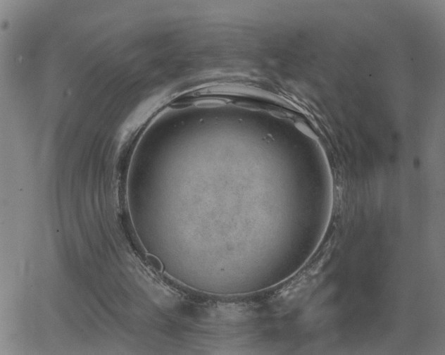 X0000062610149200512211146