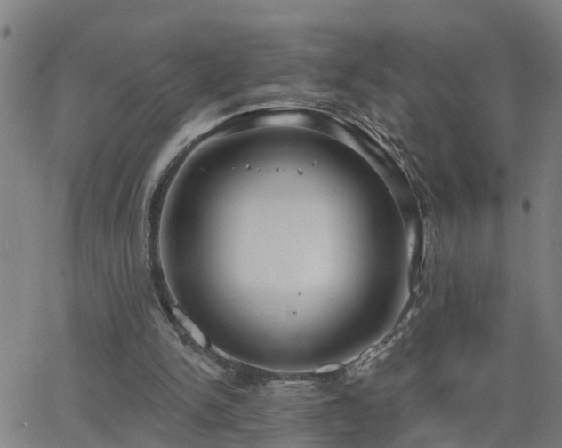 X0000062610150200512211146