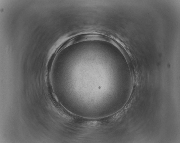 X0000062610152200512211146