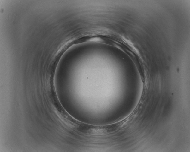 X0000062610154200512211146