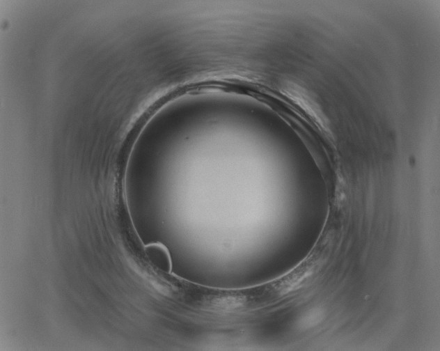 X0000062610156200512211146