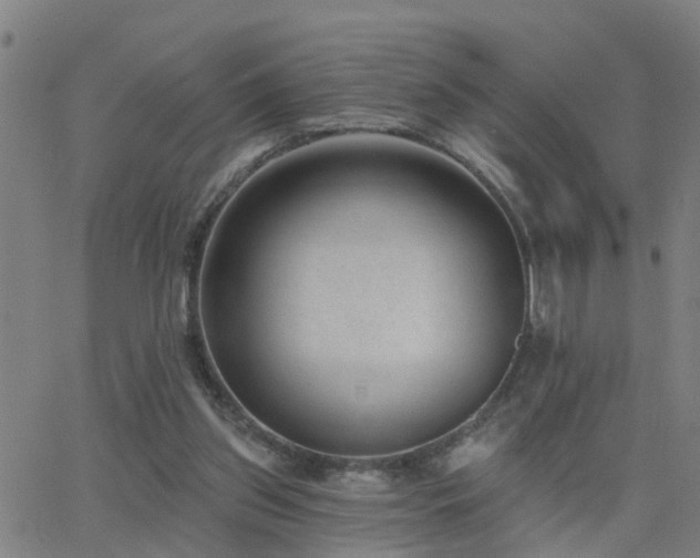 X0000062610157200512211146