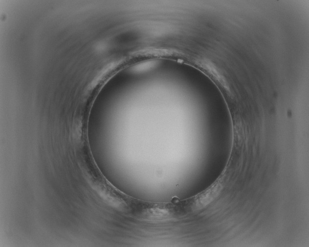 X0000062610159200512211146