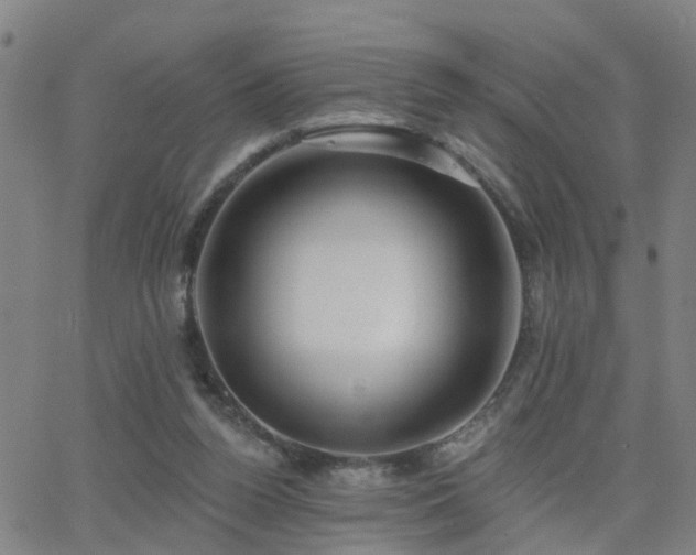 X0000062610160200512211146