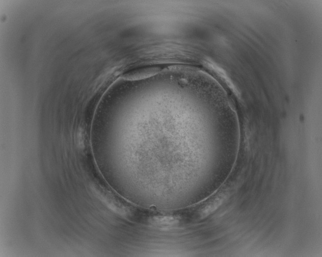 X0000062610161200512211146