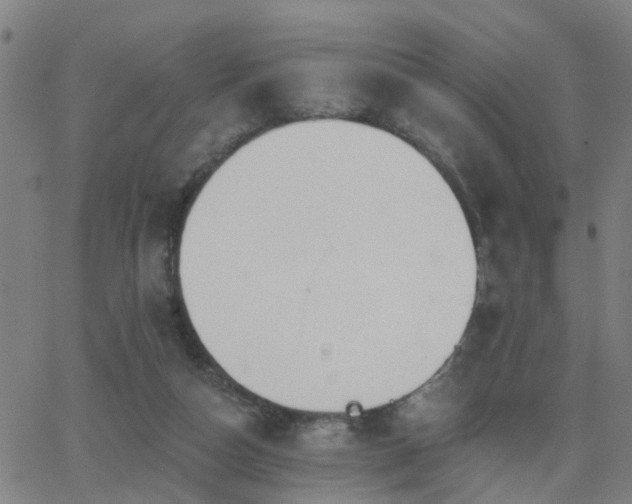 X0000062610162200512211146