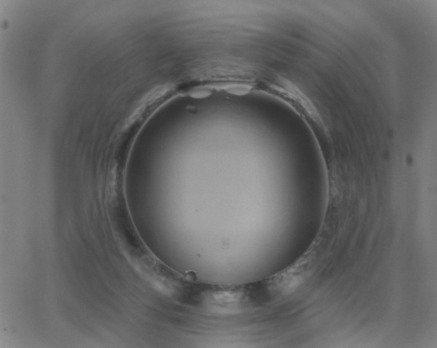 X0000062610163200512211146