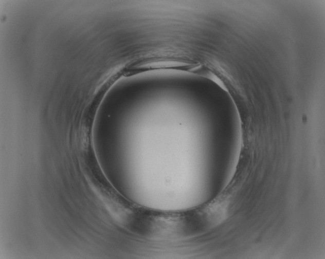 X0000062610164200512211146