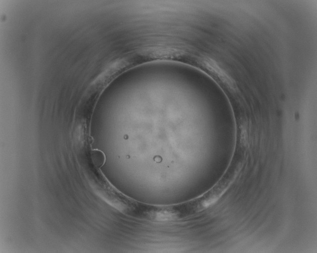 X0000062610165200512211146