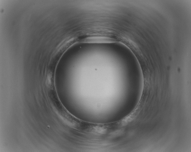 X0000062610166200512211146