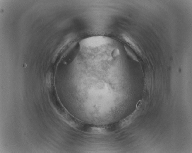 X0000062610167200512211146