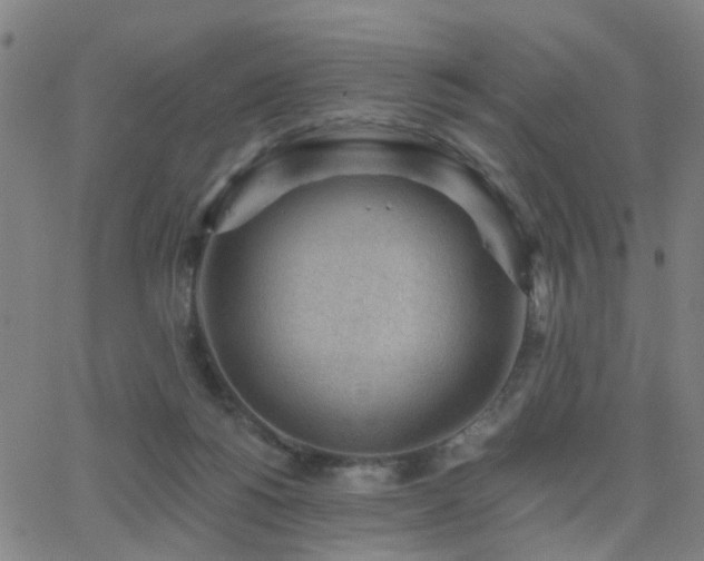 X0000062610168200512211146