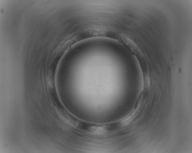 X0000062610170200512211146