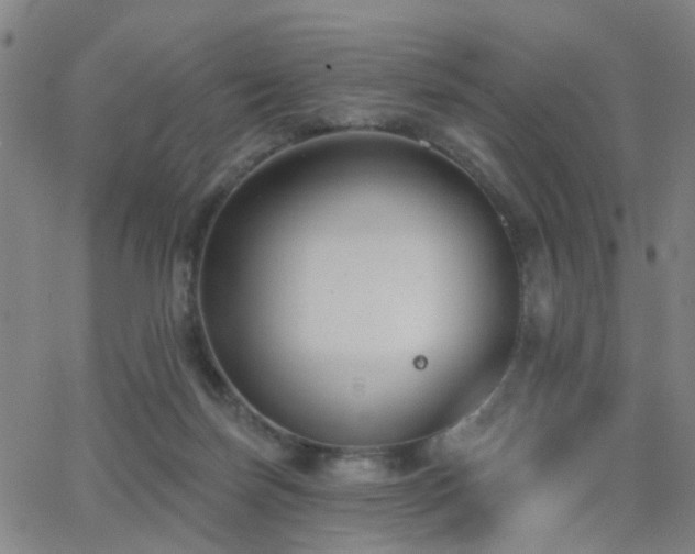 X0000062610171200512211146