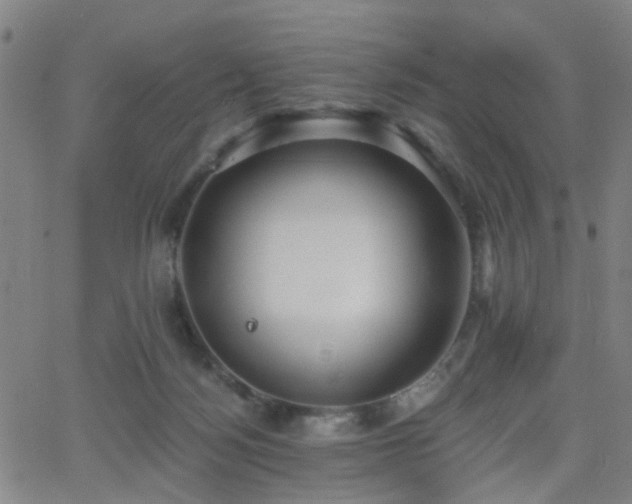 X0000062610172200512211146