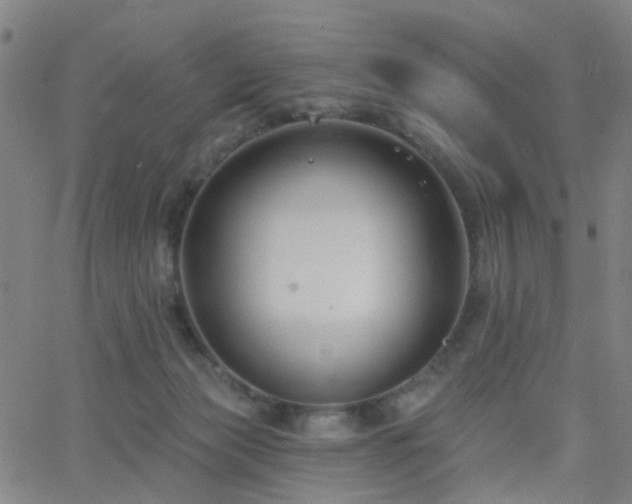 X0000062610173200512211146