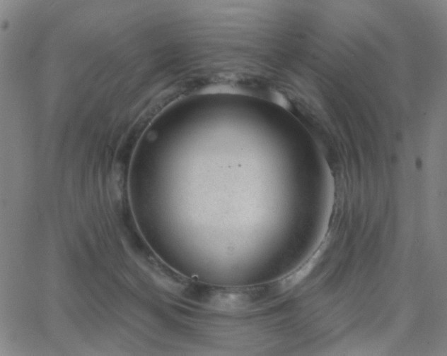 X0000062610174200512211146