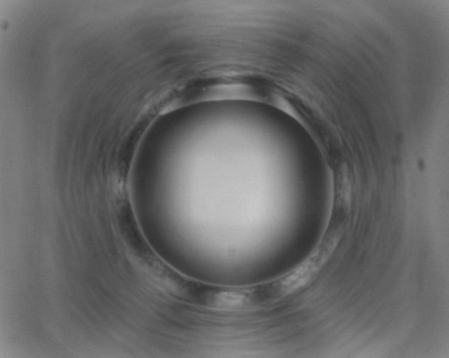 X0000062610176200512211146