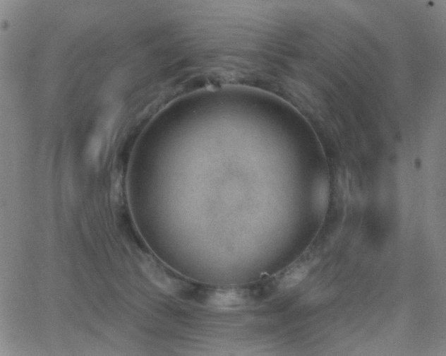 X0000062610177200512211146