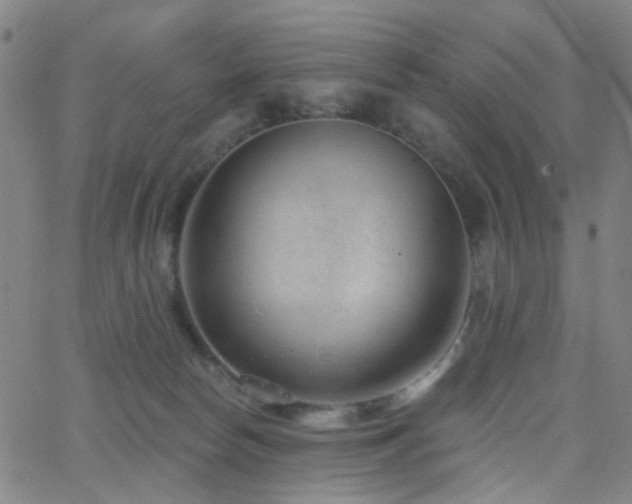 X0000062610178200512211146