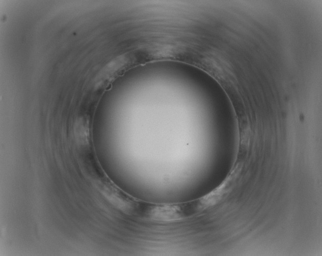 X0000062610179200512211146