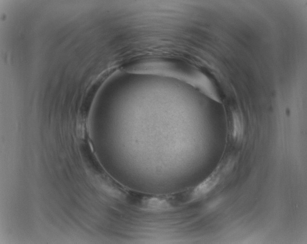 X0000062610180200512211146