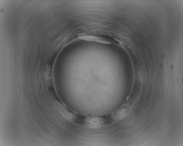 X0000062610181200512211146