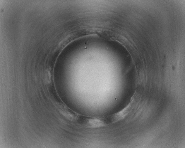 X0000062610183200512211146