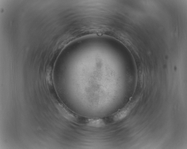 X0000062610185200512211146