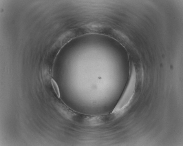 X0000062610186200512211146