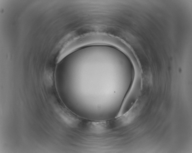 X0000062610188200512211146