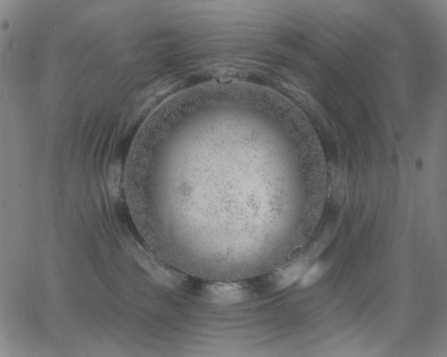 X0000062610189200512211146