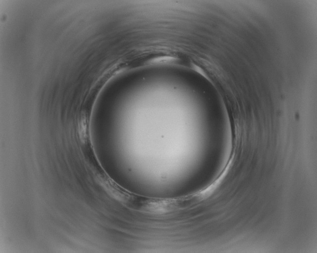 X0000062610190200512211146