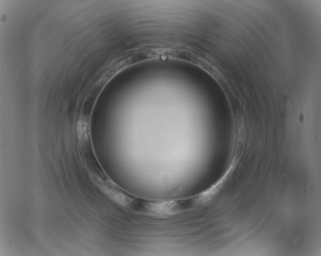 X0000062610191200512211146