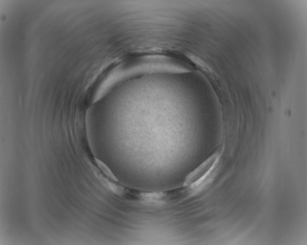 X0000062610192200512211146