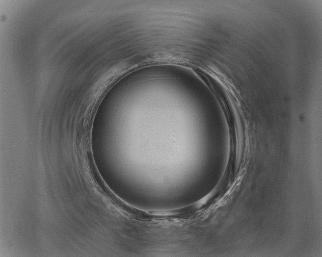 X0000062610193200512211146