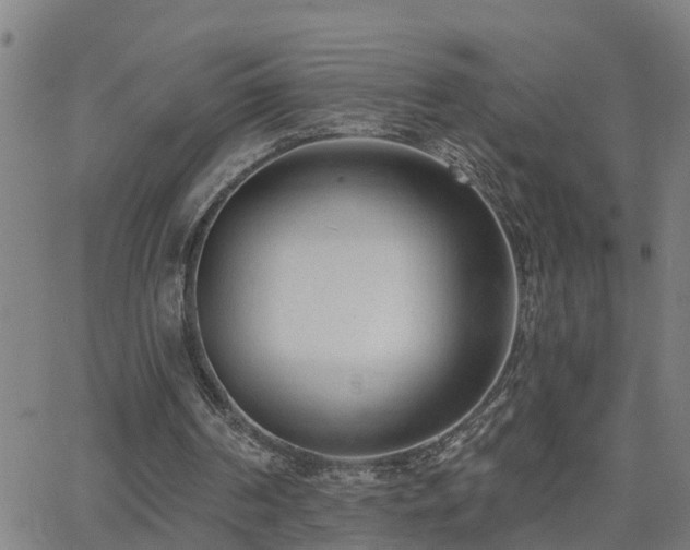 X0000062610194200512211146