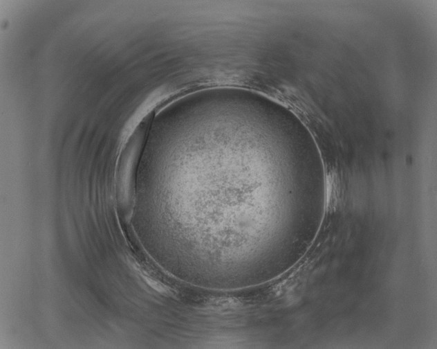 X0000062610195200512211146