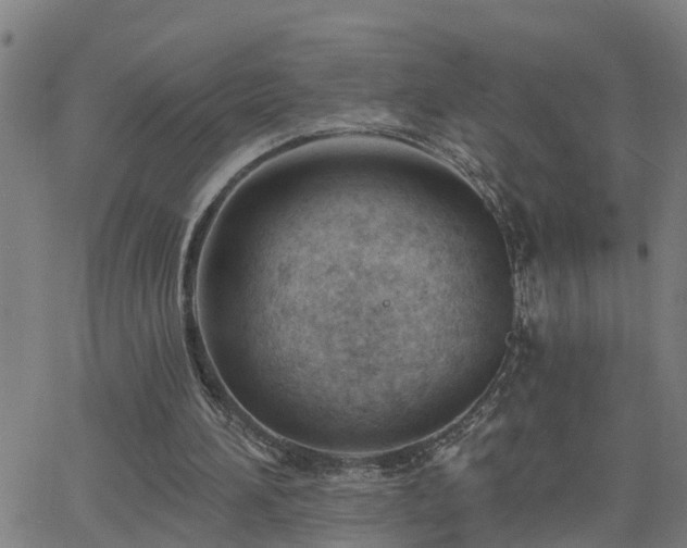 X0000062610196200512211146