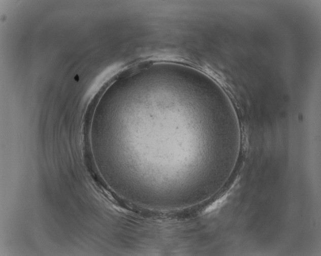 X0000062610199200512211145