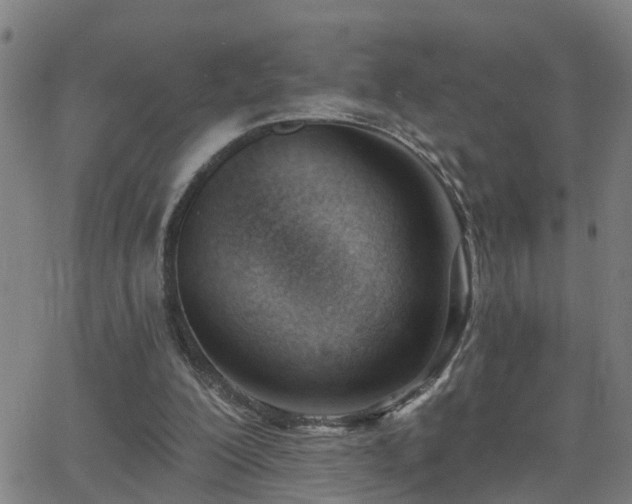 X0000062610200200512211145