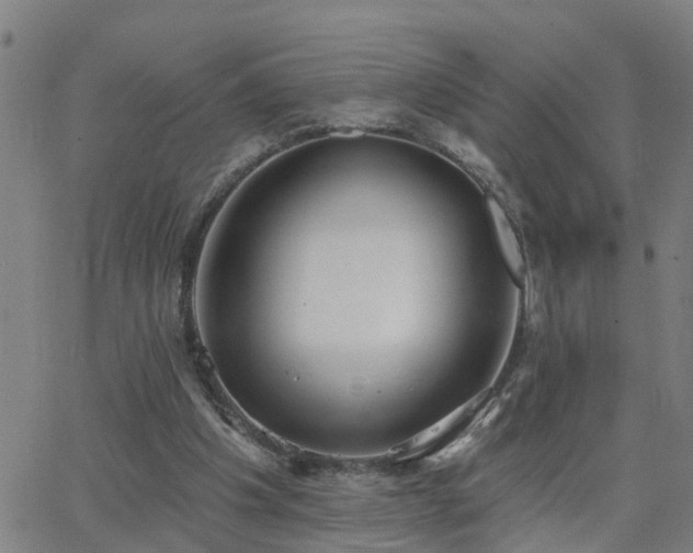 X0000062610201200512211145